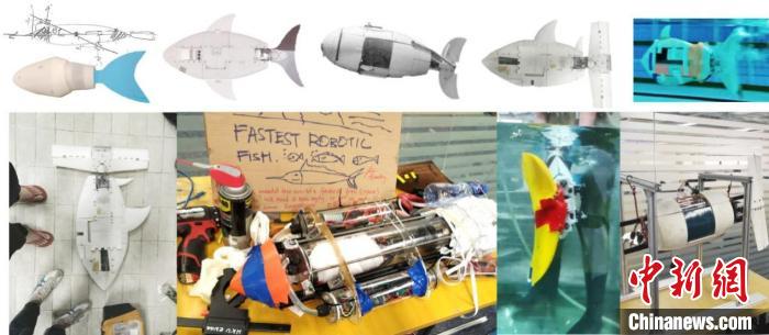  深港高校联合研发出世界上50米游得最快的仿生机器鱼